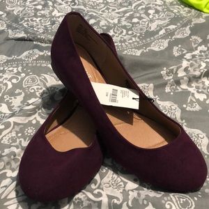 Lane Bryant plum flats
